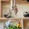 Self-contained, miniature ecosystem inside a clear glass container, often with a narrow