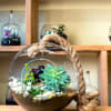 Hanging Terrarium self-contained, miniature ecosystem inside a clear glass container, often with