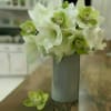 A refined arrangement of pure white amaryllis with soft green centers, thoughtfully