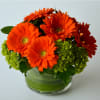 a nice arrangement of gerberas mix with green hydrangea in a clear