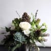 Holiday greens with succulents and novelty accents in beautiful container 
Pictured Premium