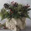Holiday greens designed a a beautiful rustic container with novelty accents that