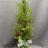 A small Christmas tree in a basket with ornaments and lights. About