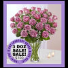 SALE 36 LAVENDER ROSES
36 / 3 doz lavender roses in a vase
Sale