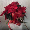 Seasonal flower arrangement crafted with fresh red poinsettias, festive greenery and natural