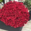 A striking luxury rose arrangement featuring an abundant display of premium red