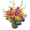 A stunning and unusual tropical arrangement of Birds of Paradise, Pin Cushion