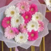 Gerbera Daisies Mix white and pink tones