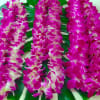 Basic orchid lei. For graduations, birthdays, anniversaries, or simply just because.
Quantity prices