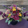 Rich, velvety blooms in a stunning mix of purple, red, and soft