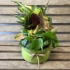 10 inch ceramic bowl filled with assorted green plants. We add a