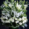 This luxury arrangement includes premium fragrant flowers such lilies, freesias, roses, stock