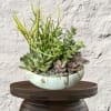 The Artisan Succulent Estate Garden
Bring a touch of sophisticated, enduring greenery into