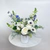Elegant and refreshing, this arrangement features lovely white blooms, vibrant blue delphiniums