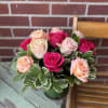 One dozen roses in shades of light pink, peach and hot pink