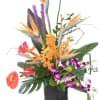 BRF509 - Tantalizingly Tropical
A beautiful mix of tropical flowers in bright colors