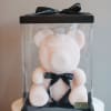 Pearl Teddy Bear 14" tall - light pink. Comes with the gift