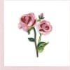Pink Roses represent grace and gentleness, admiration and happiness making this the