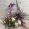 phalaenopsis orchids , dendrobium orchids , hydrangea and ,roses along with tropical