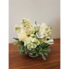 Delicate arrangement of cream roses, light yellow stock, mini green hydrangea, white