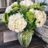 Vase of fresh hydrangea accented with lush greenery. Substitutions will be made