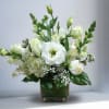 Type of Flowers: Hydrangeas, Snapdragons, Lisianthus, Roses, Tulips, Babies Breath, and greens