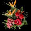 A colorful mix of tropical flowers in red and orange