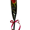 1 beautiful fresh cut long stem rose wrapped with a ribbon. The