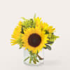 Let those warm rays brighten their day, with an arrangement of sunny