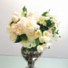 A beautiful collection of varying shades of white blooms in a vintage