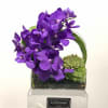 Stems of  precious purple vanda orchids designed such growing out of