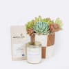 The Check Yourself Gift Set for Plant Lovers pairs modern design with
