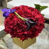 This modern arrangement has varying shades of deep red roses in a