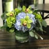 Arrangement includes; hydrangeas, cymbidium orchid blooms with accents of eucalyptus. Designed in