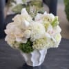 This sweet, compact arrangement comprises soft and luscious Hydrangea, with white Dahlias