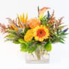 Order this for a designer's choice arrangement as special as your Grandparent.