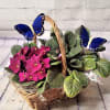 Enjoy one of our beautiful blooming African Violet baskets complete with two