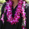 Orchid leis dazzle with a stunning variety of colors, each reflecting nature&rsquo;s