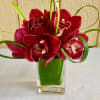 In the glass ways combinations of seven Cymbidium burgundy orchids with a