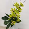 Glorious cymbidium orchid in a modern vase with tropical leaves. Colors may