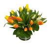 A beautiful display of multicolor tulips. A perfect bouquet to gift for