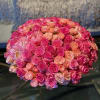 This assortment of Roses is sure to impress! Featuring Roses, Garden Roses