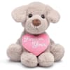 Plush Valentine's Tan Puppy with 'Forever Yours' Pink Heart