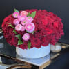 This stunning arrangement consists of classic red Roses, accented with pink Ranunculus