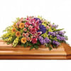 Bring a gentle radiance to the memorial service with this lovely multicolored