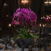 A high quality Eleven purple orchids arrangement with a vase 15" D