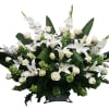 Peaceful Thoughts Basket includes:
Green Chrysanthemums
White Lilies
White Roses
White Gladiolus
Bells of Ireland

This type of