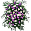Fragrant purple stock and white chrysanthemums alternate in a gorgeous standing spray