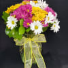 Perfect for the daisy lover!! Just daisies, in a variety of colors.