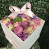 Cute colors beautifully arranged to make up the perfect gift!